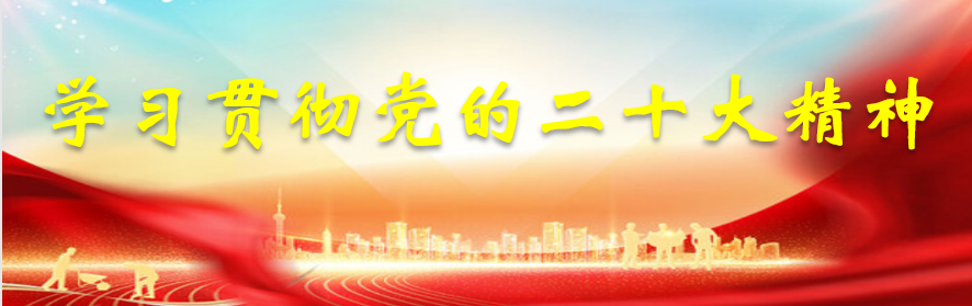 学习贯彻党的二十大精神