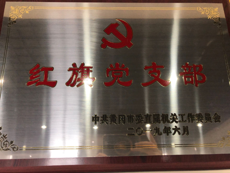2018红旗党支部